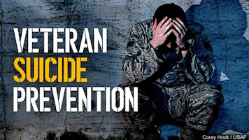 Lorain County Leads In Veteran Suicide Prevention